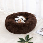 winter pet bed