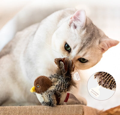 interactive bird cat toy